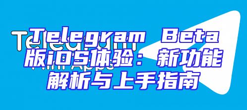 Telegram Beta版iOS体验：新功能解析与上手指南