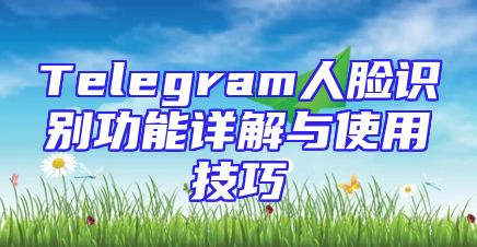Telegram人脸识别功能详解与使用技巧