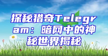 探秘猎奇Telegram：暗网中的神秘世界揭秘