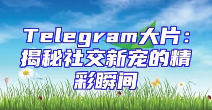 Telegram大片：揭秘社交新宠的精彩瞬间