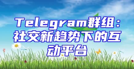 Telegram群组：社交新趋势下的互动平台
